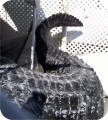 Big Wrestler Gator Carved 1992