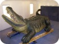 Big Wrestler Gator C 2021