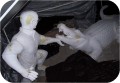 Foam Carving 1846