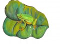 View mm-Frog-Leaf