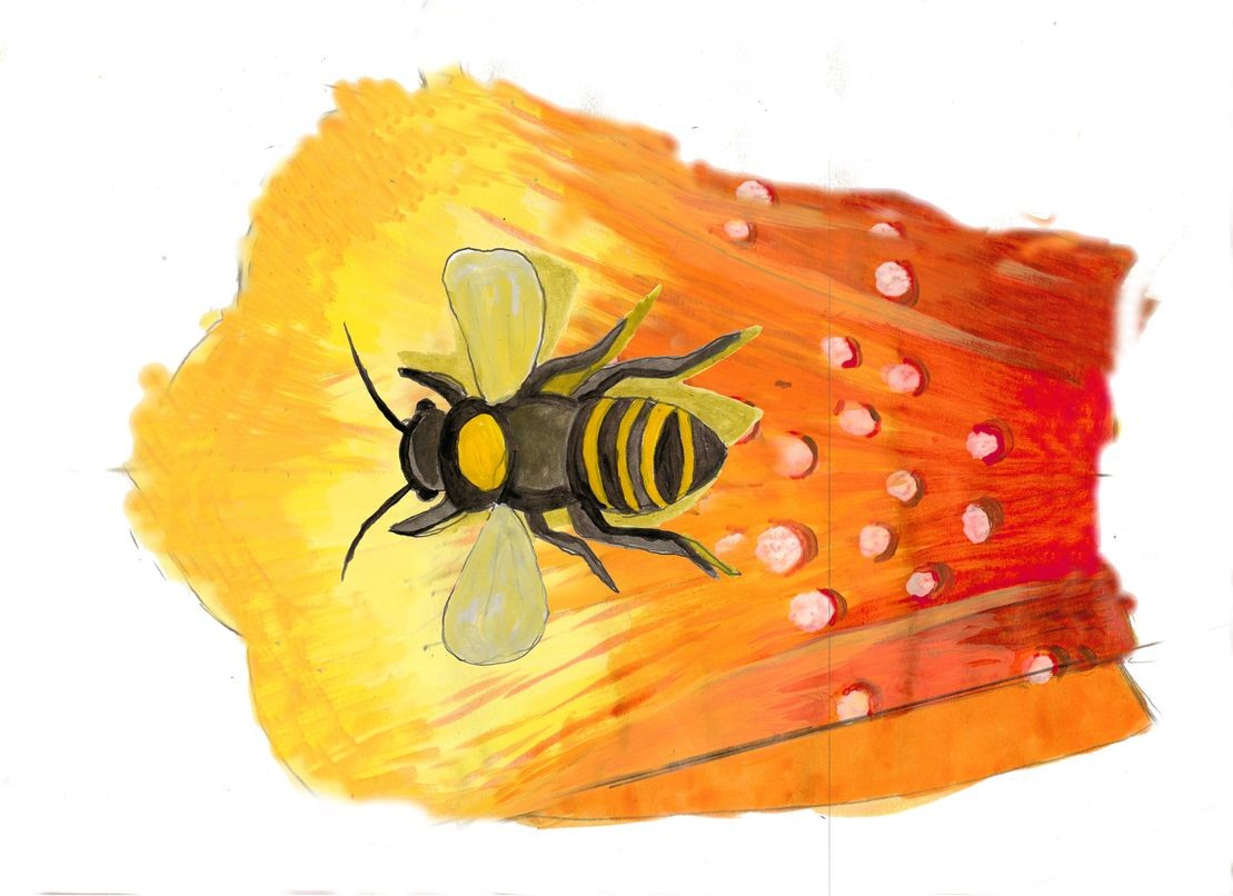 Mm Bee