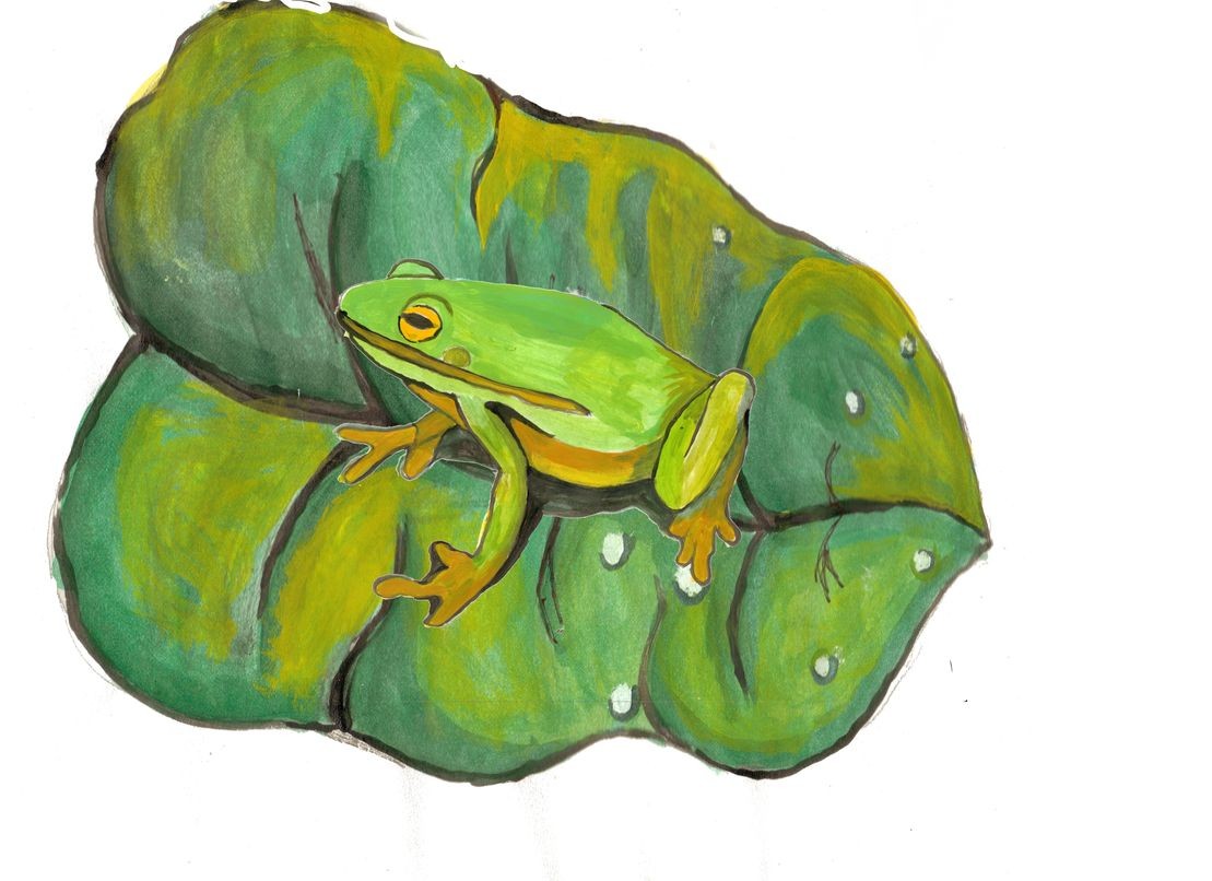 Mm Frog Leaf