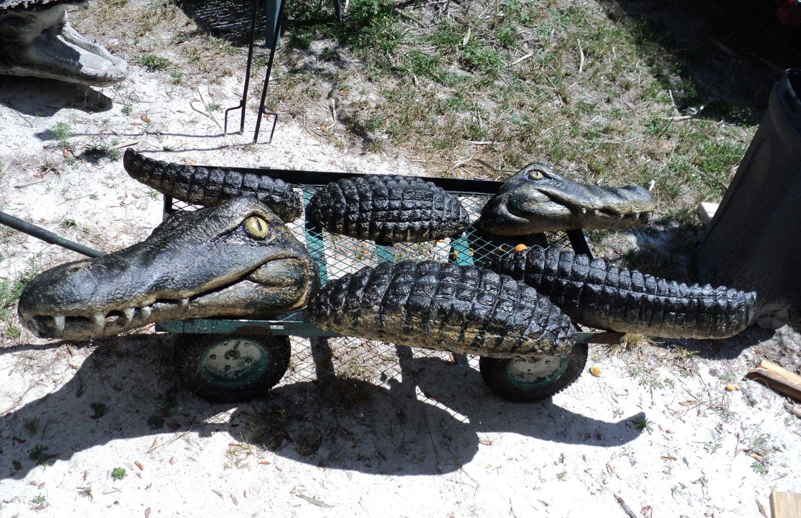 Alligator Wall 003