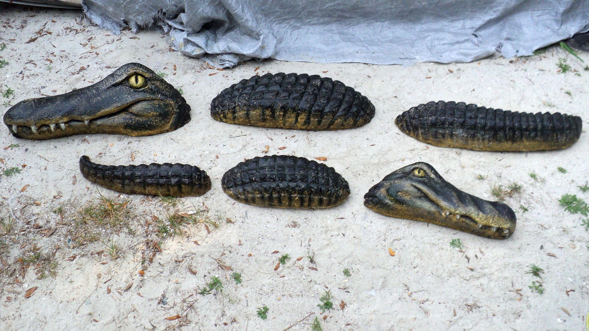 Alligator Wall 011