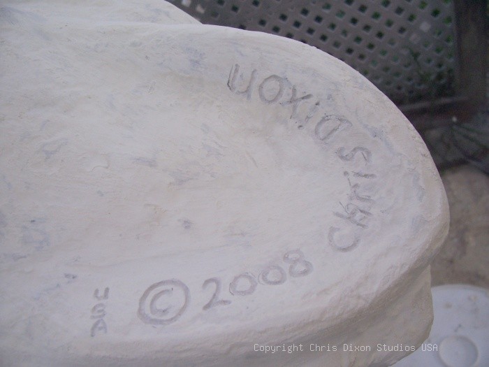 Heron56 Mb Copyright