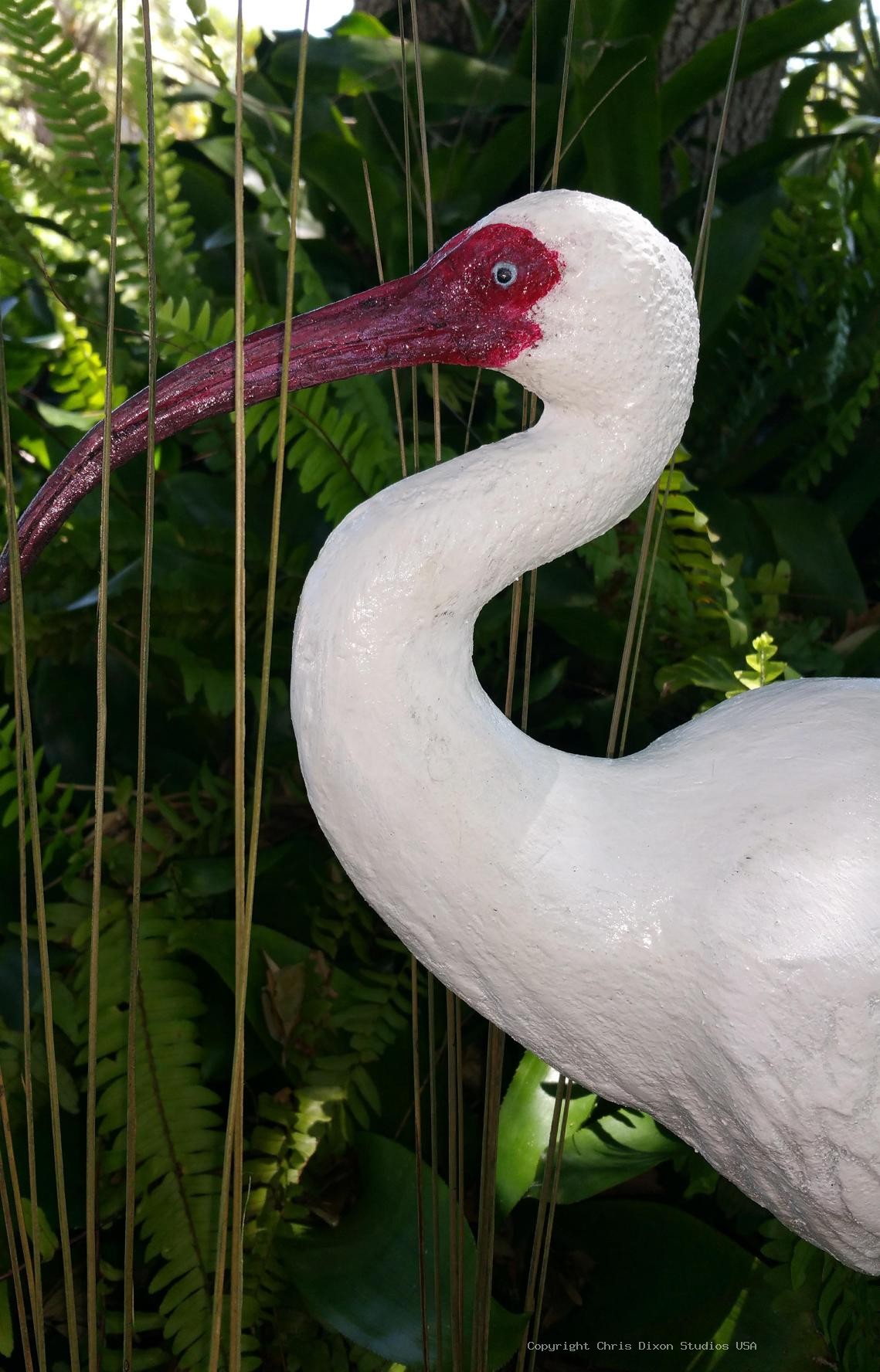 Ibis White Bird 26in 309