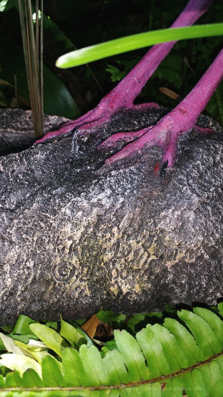 Ibis White Bird 26in 326