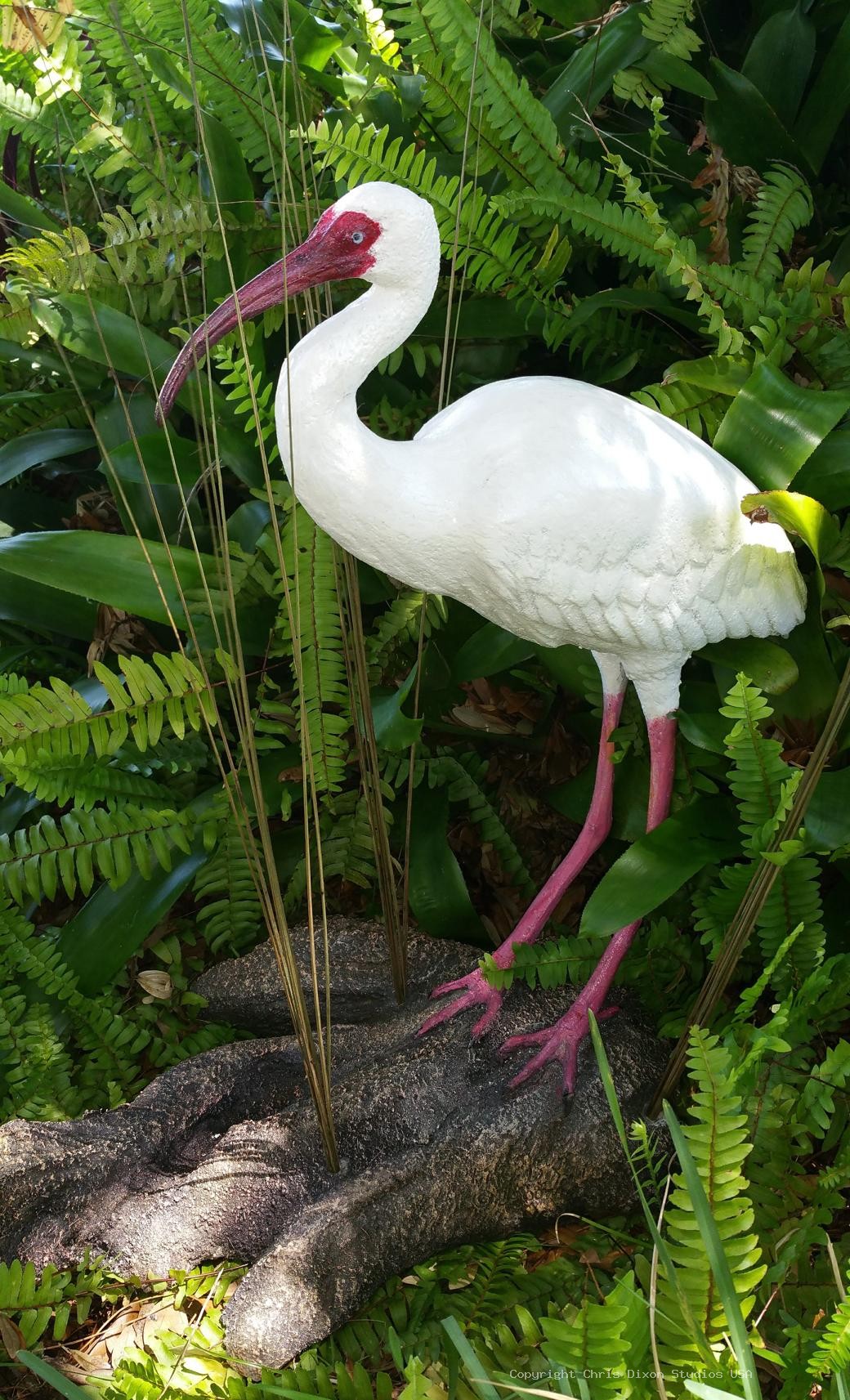 Ibis White Bird 26in 429