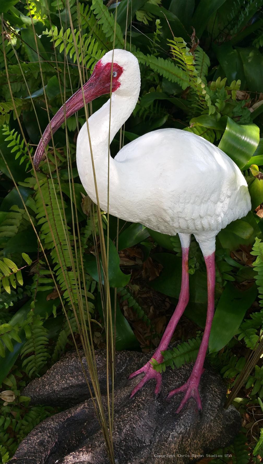 Ibis White Bird 26in 438