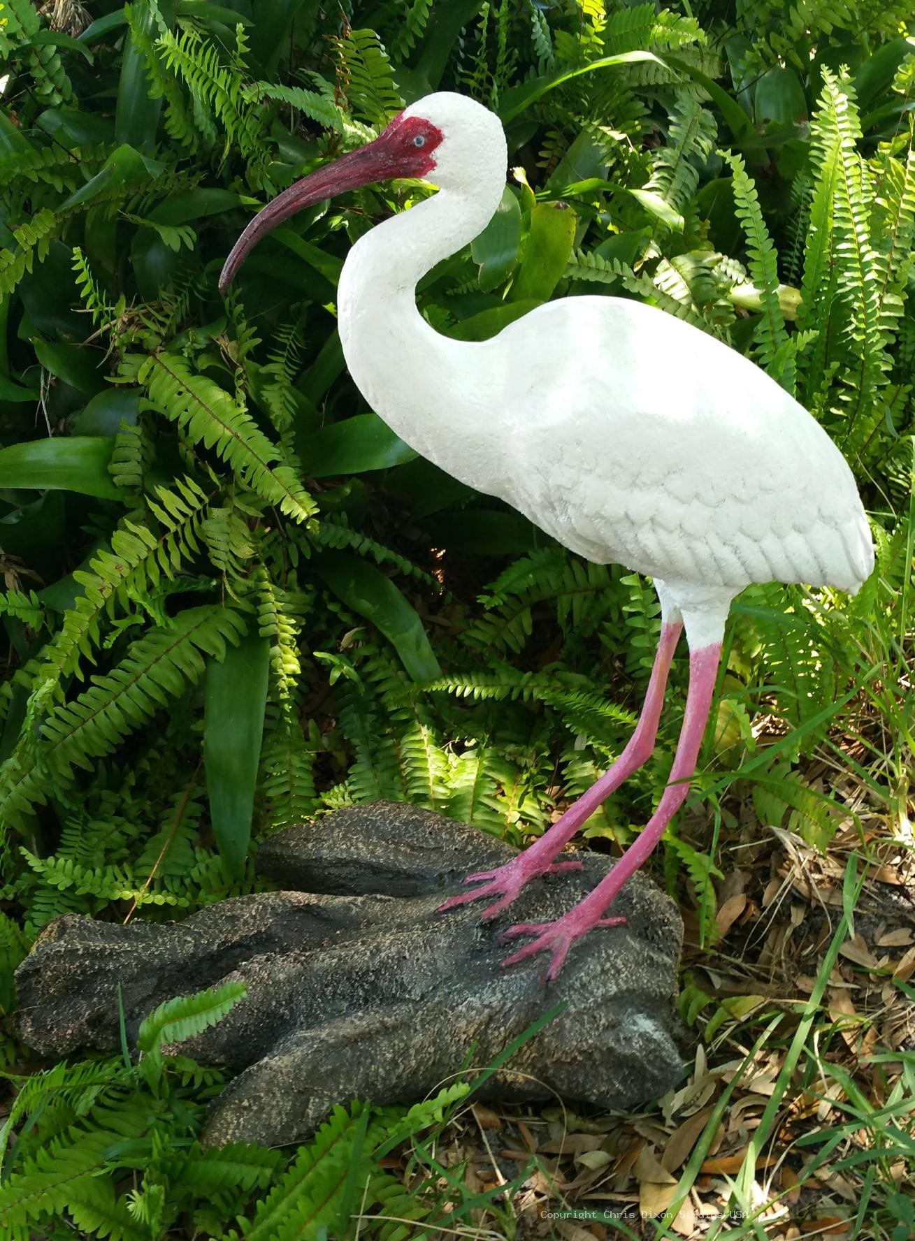 Ibis White Bird 26in 912