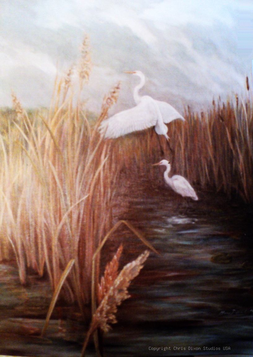 American Egrets Painting