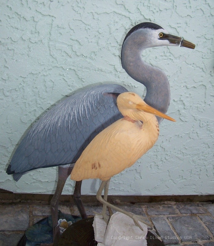 Heron Smlg Woodamaged CDixon