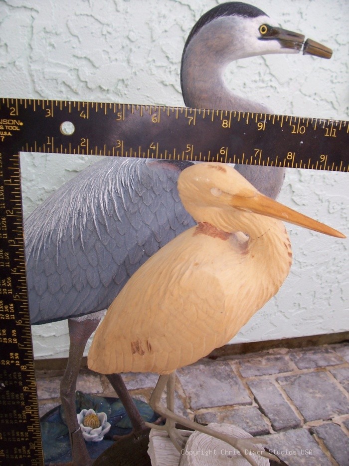 Heron Smlg Woodamaged2 CDixon