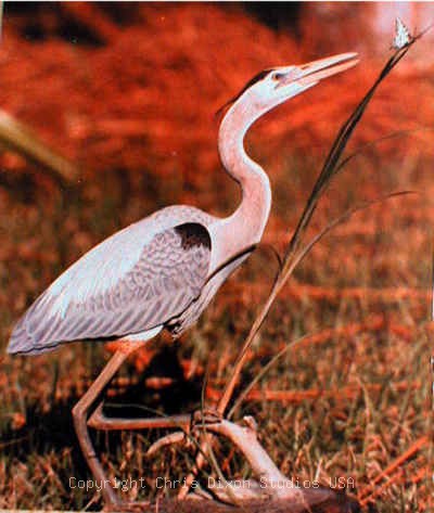 Heronbutterflyl 400473 Jpg