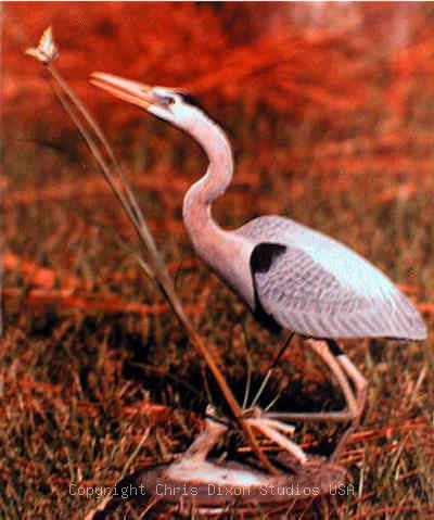 Heronbutterflyr 400479 Jpg