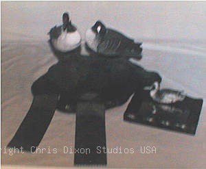 Ward Bos Geese300247 Jpg