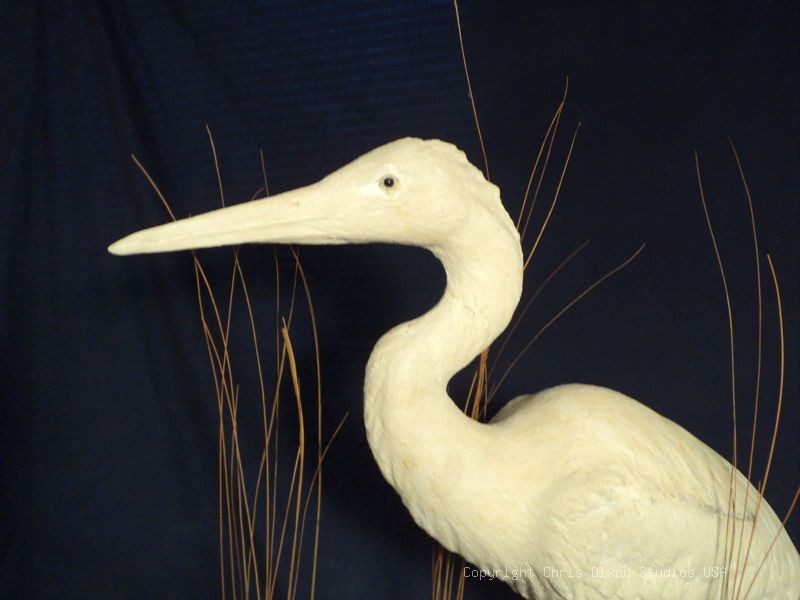 Egret White Bird 29in Head