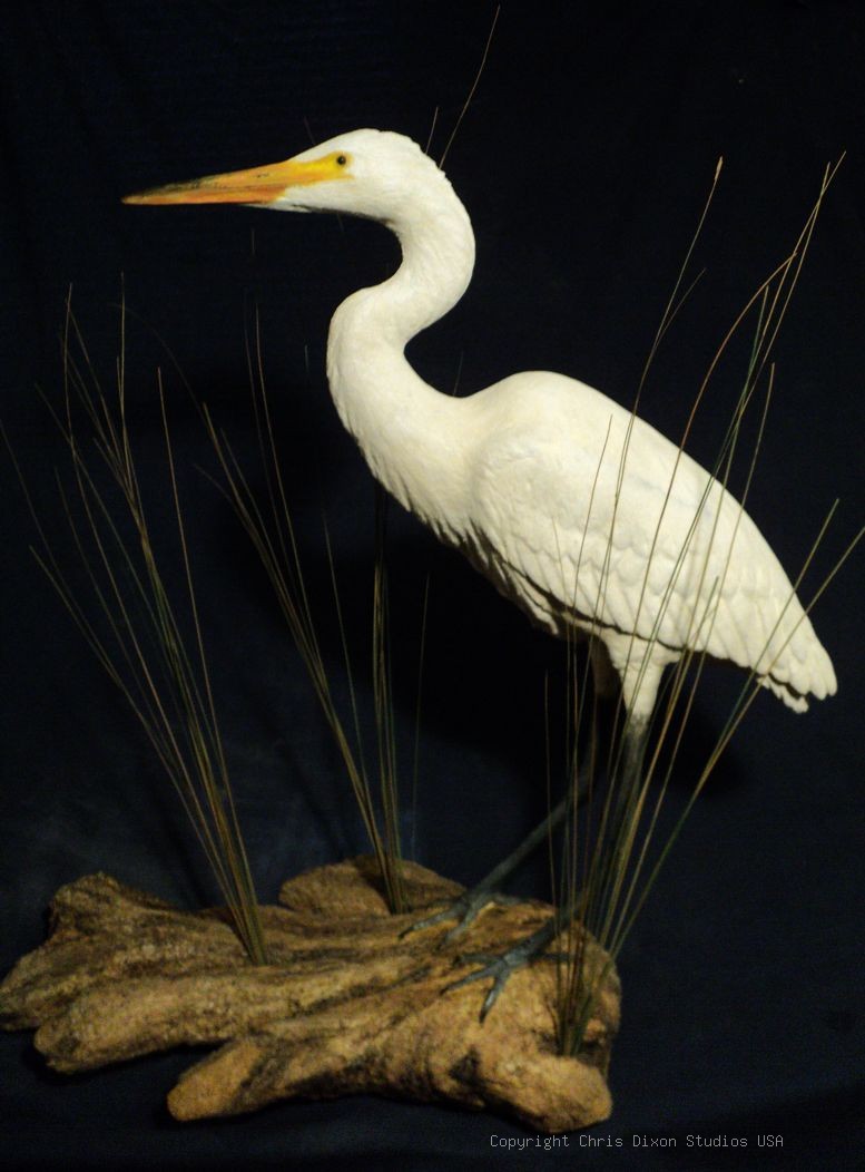 Great American Egret Sculpture29in 768