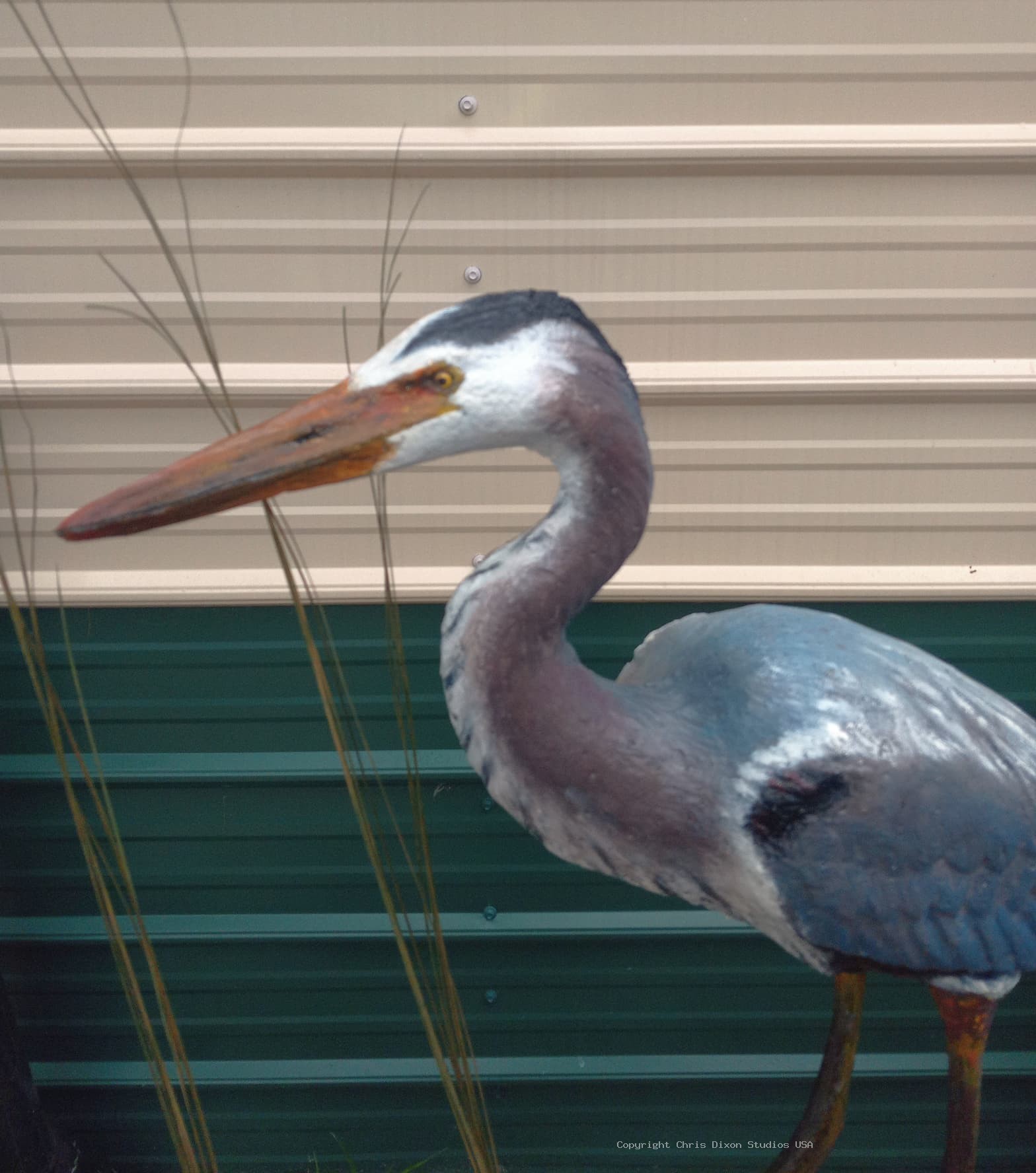 Great Blue Heron Sculpture29in 138