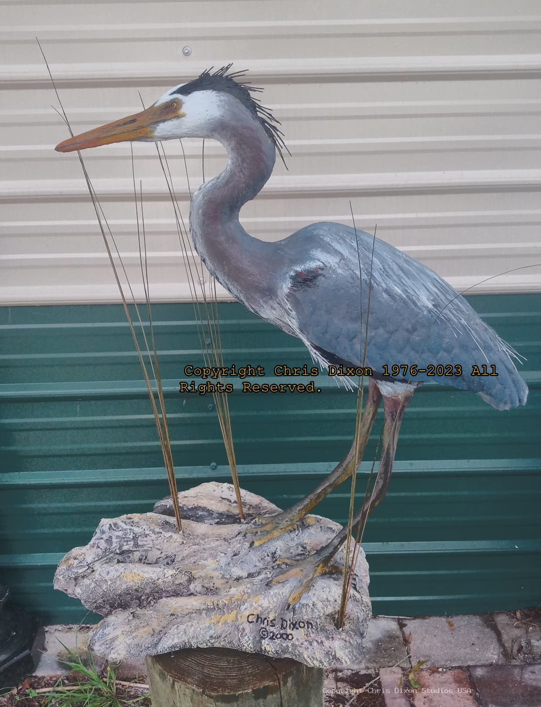 Heron29Plummaged 108