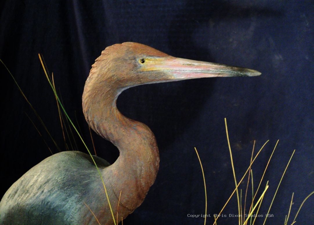 Reddish Egret Sculpture29in 830