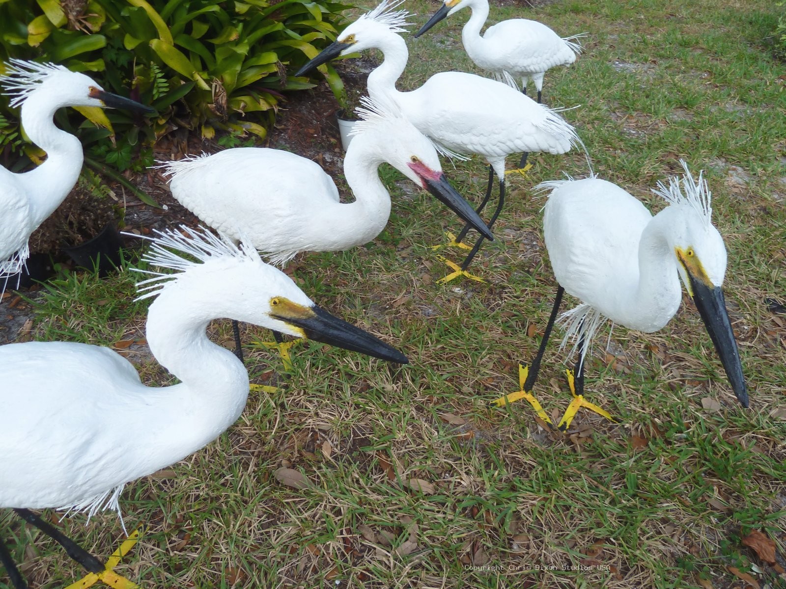 Snowy Egret Decoys 121