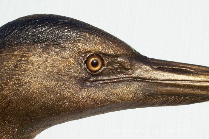 Rb3 Blue Heron Detail Head